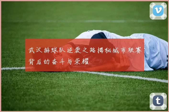 武汉排球队逆袭之路揭秘城市联赛背后的奋斗与荣耀