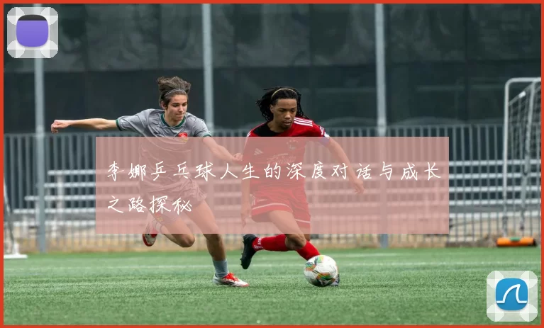 李娜乒乓球人生的深度对话与成长之路探秘