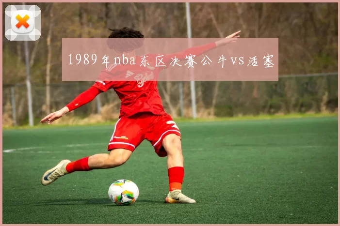 1989年nba东区决赛公牛vs活塞