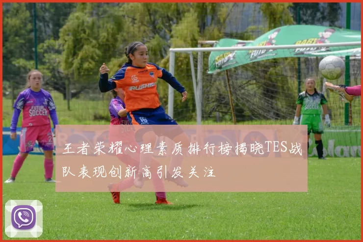 王者荣耀心理素质排行榜揭晓TES战队表现创新高引发关注