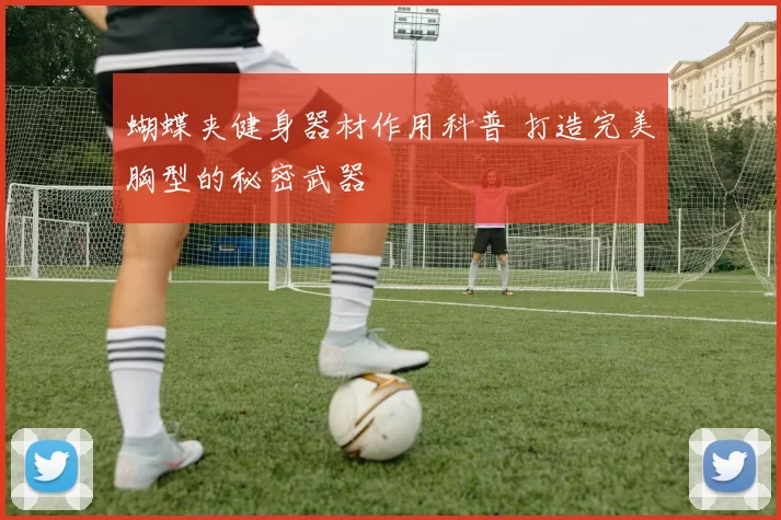 蝴蝶夹健身器材作用科普 打造完美胸型的秘密武器