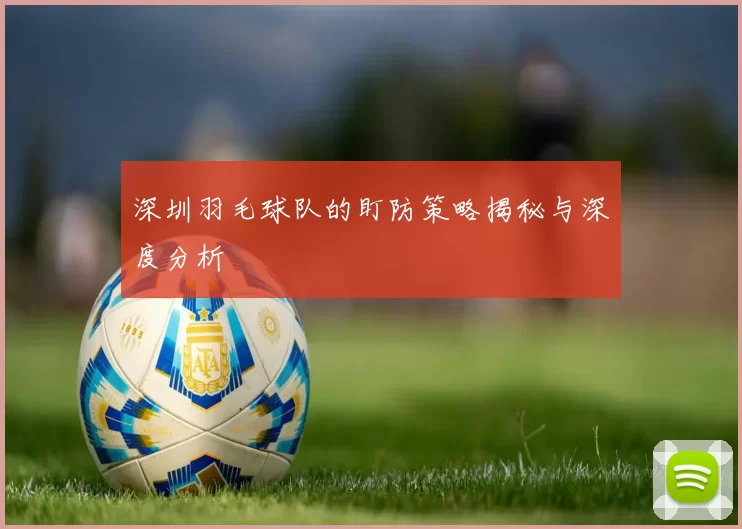 深圳羽毛球队的盯防策略揭秘与深度分析