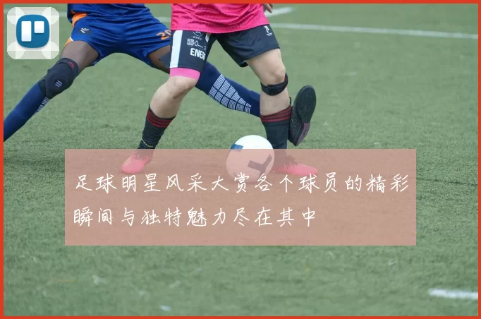 足球明星风采大赏各个球员的精彩瞬间与独特魅力尽在其中