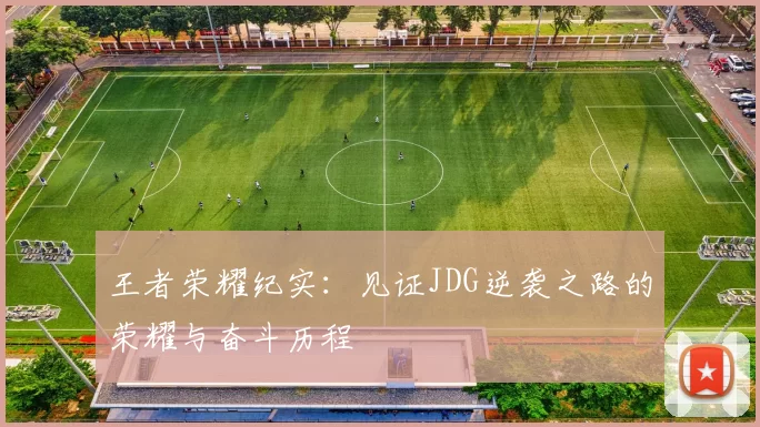 王者荣耀纪实：见证JDG逆袭之路的荣耀与奋斗历程