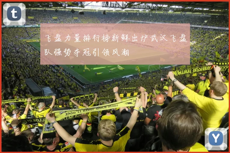 飞盘力量排行榜新鲜出炉武汉飞盘队强势夺冠引领风潮