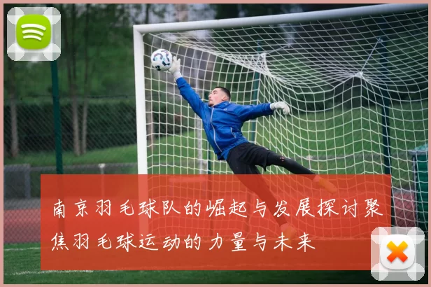 南京羽毛球队的崛起与发展探讨聚焦羽毛球运动的力量与未来
