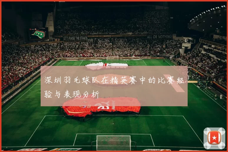 深圳羽毛球队在精英赛中的比赛经验与表现分析