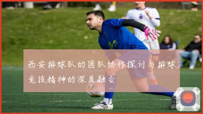 西安排球队的团队协作探讨与排球竞技精神的深度融合