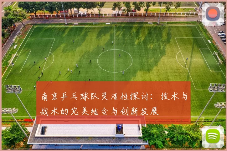 南京乒乓球队灵活性探讨：技术与战术的完美结合与创新发展