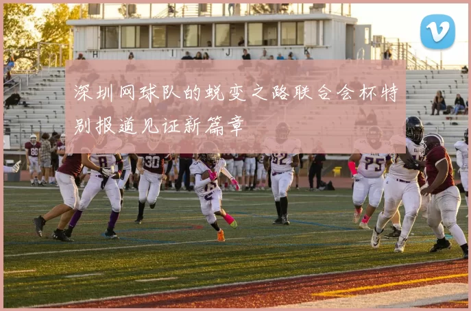 深圳网球队的蜕变之路联合会杯特别报道见证新篇章