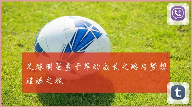 足球明星童子军的成长之路与梦想追逐之旅