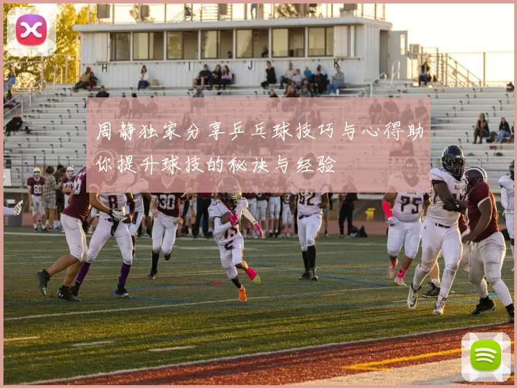 周静独家分享乒乓球技巧与心得助你提升球技的秘诀与经验