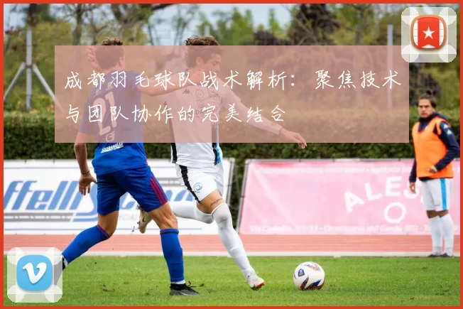成都羽毛球队战术解析：聚焦技术与团队协作的完美结合