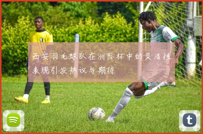 西安羽毛球队在洲际杯中的灵活性表现引发热议与期待