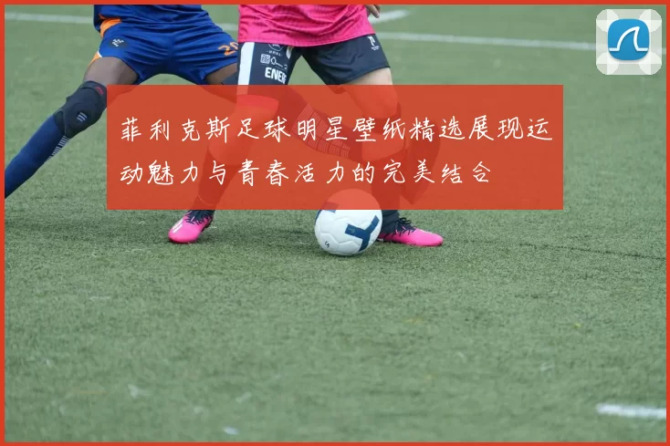 菲利克斯足球明星壁纸精选展现运动魅力与青春活力的完美结合