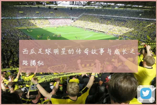 西瓜足球明星的传奇故事与成长之路揭秘