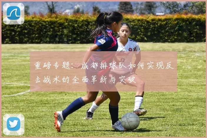 重磅专题：成都排球队如何实现反击战术的全面革新与突破