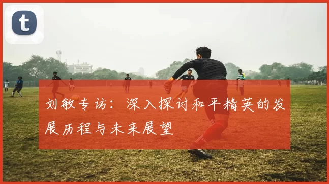 刘敏专访：深入探讨和平精英的发展历程与未来展望