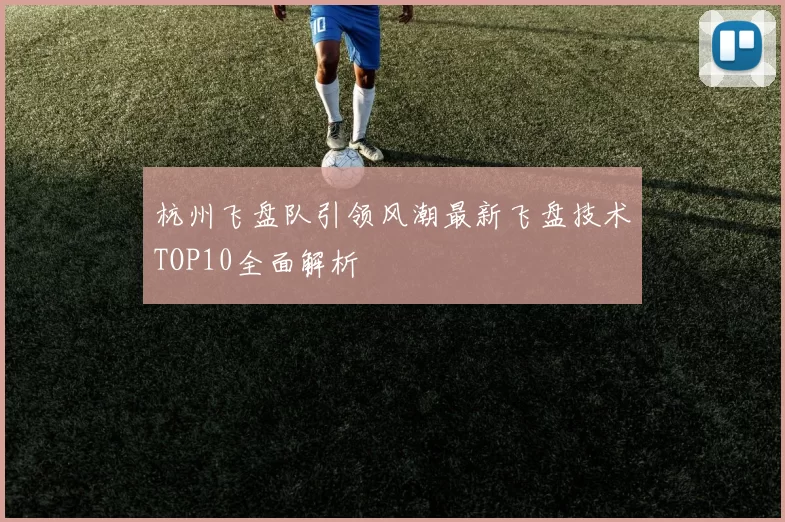 杭州飞盘队引领风潮最新飞盘技术TOP10全面解析