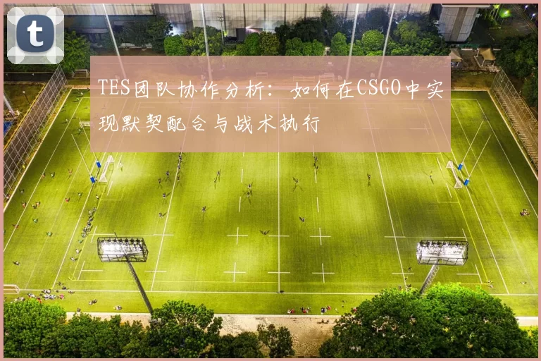 TES团队协作分析：如何在CSGO中实现默契配合与战术执行